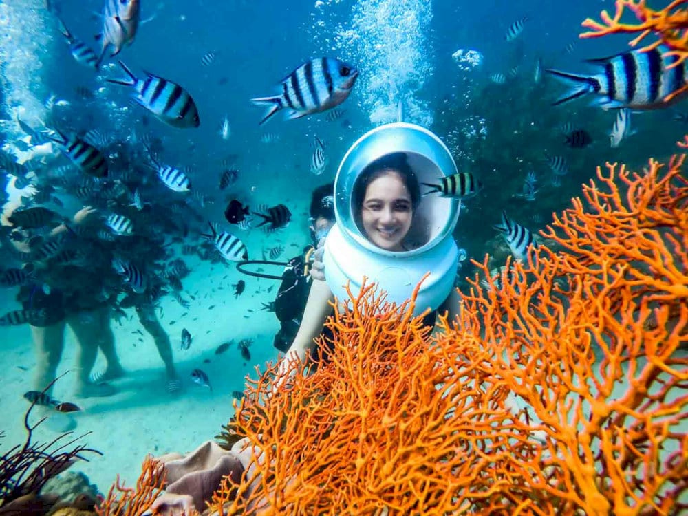 VIP guests enjoy an extended undersea experience and exclusive access to rare coral areas